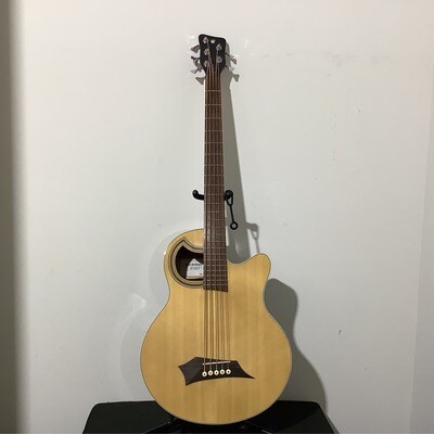 Warwick Alien Rock Bass Acoustic Guitar/Case