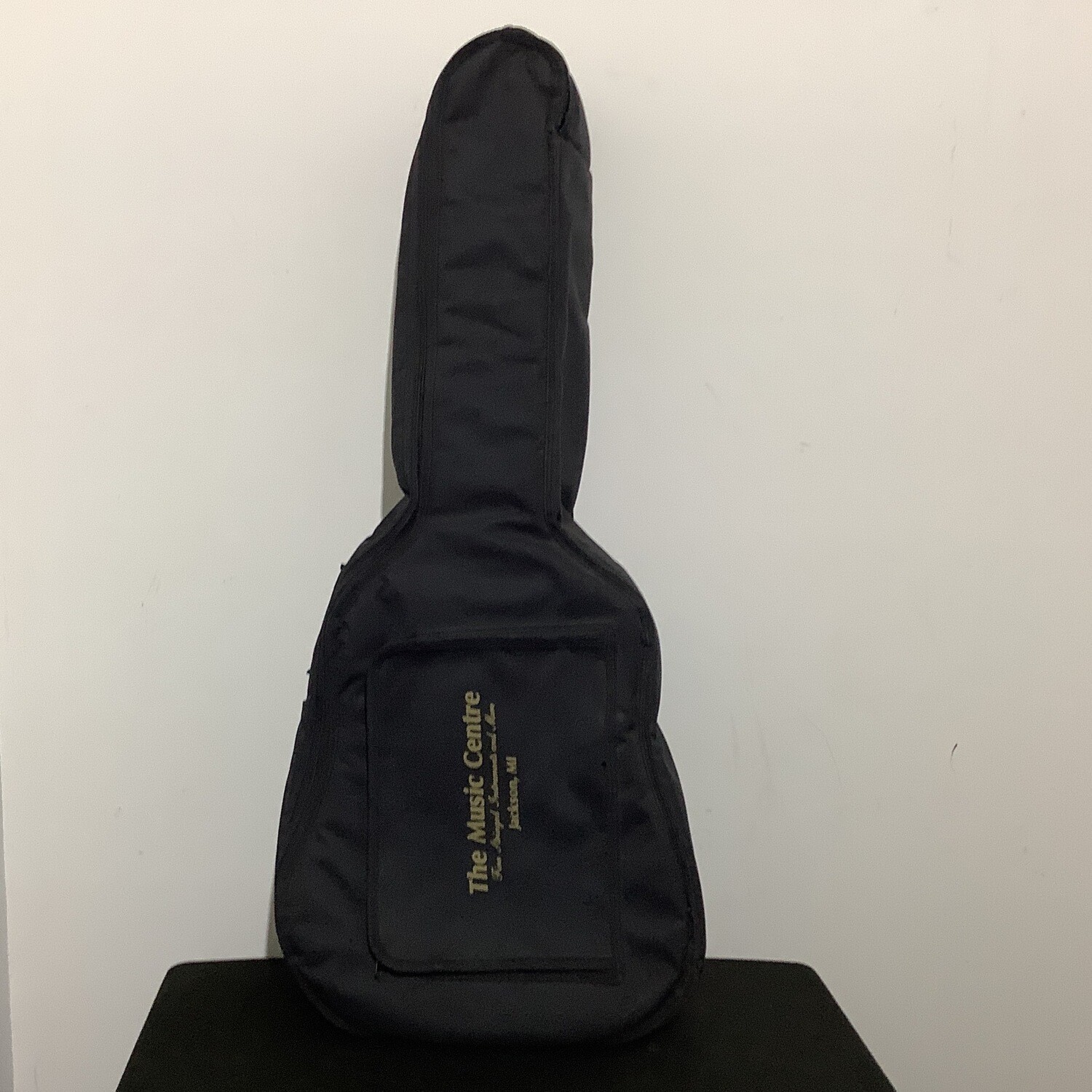 Acoustic Guitar Padded Gig Bag