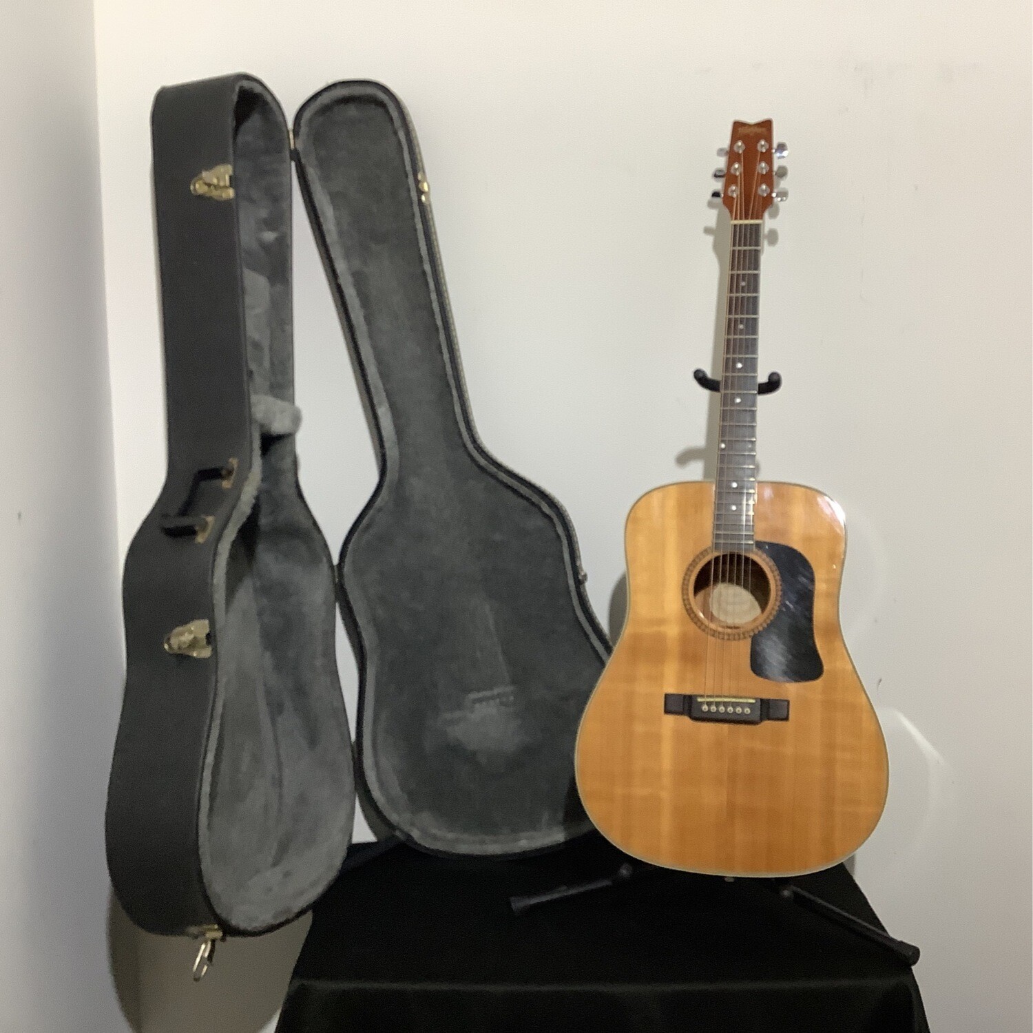 Washburn D10S Acoustic Guitar W/Hardshell Case