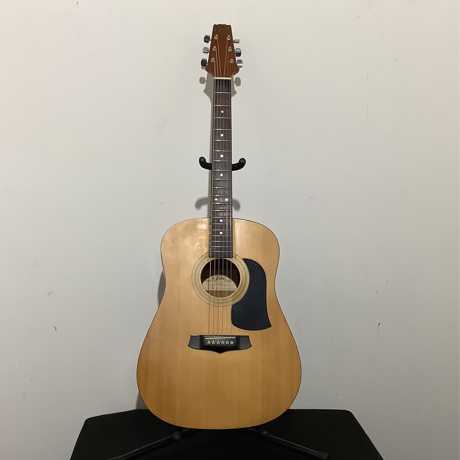 Aria AW100 Acoustic Guitar