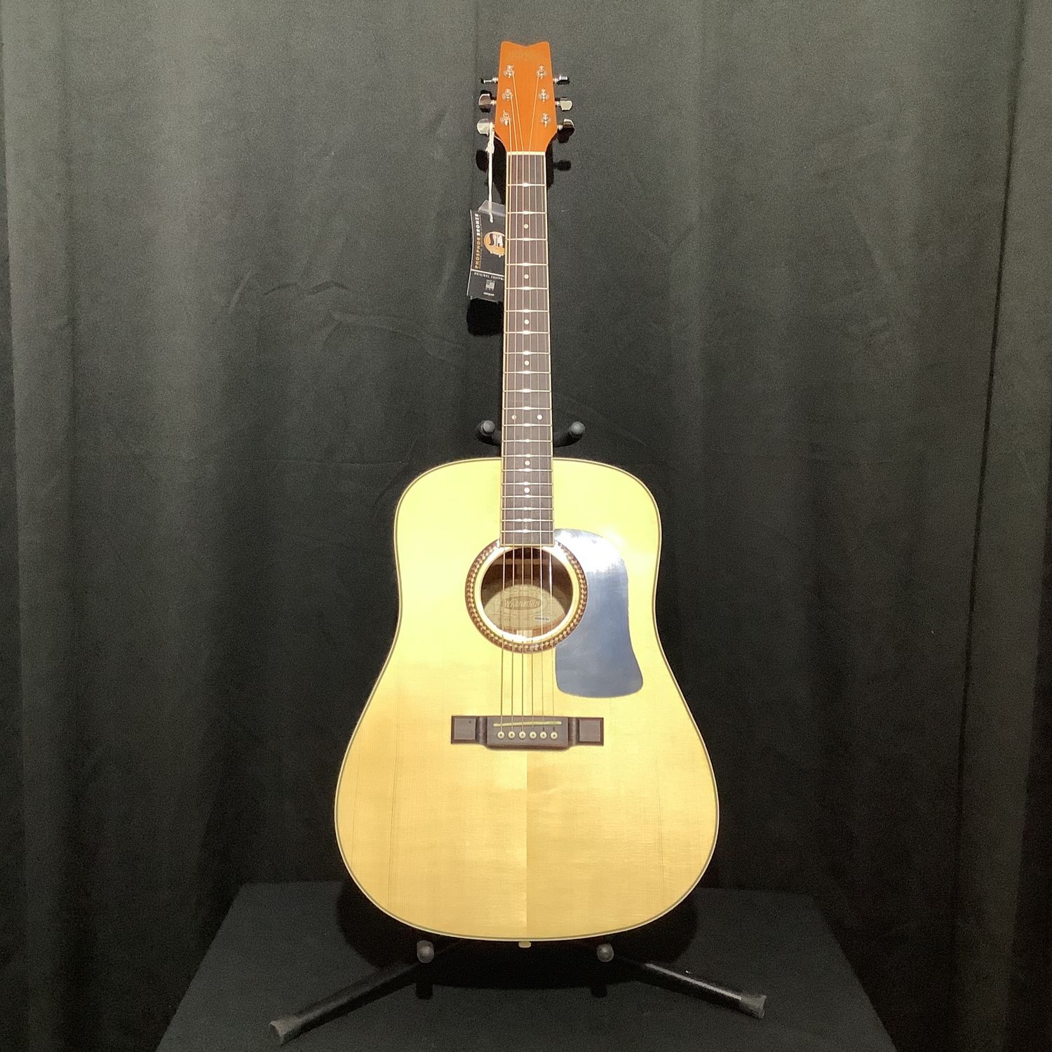 Washburn D-10SK Acoustic Guitar