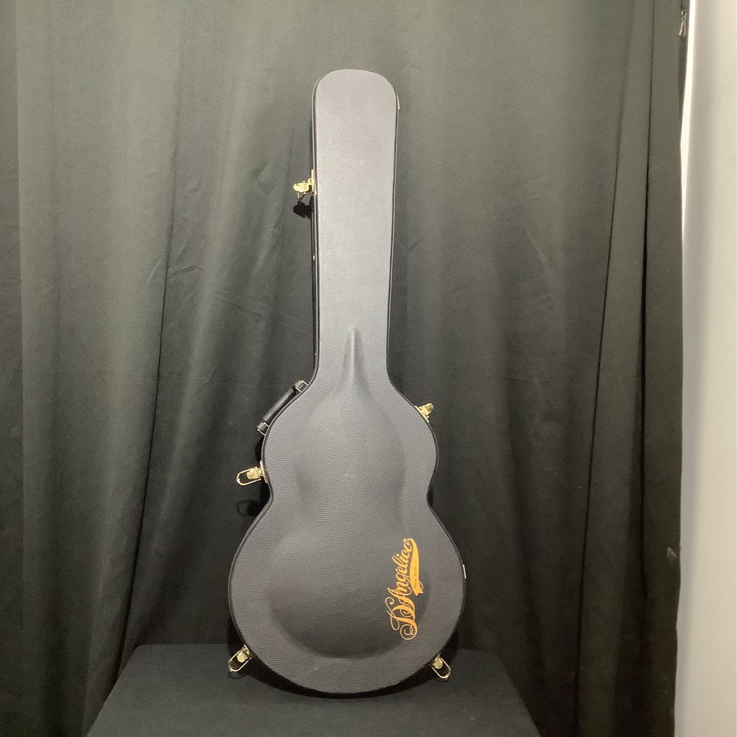D'Angelico Branded Guitar Case