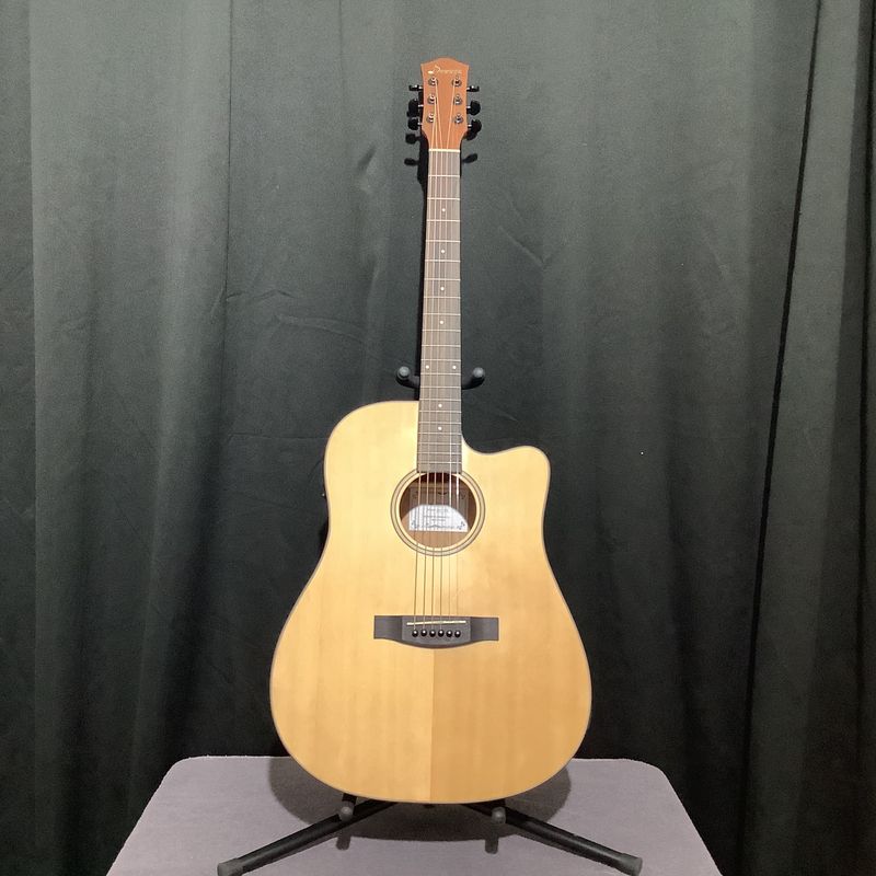 Acoustic Guitars