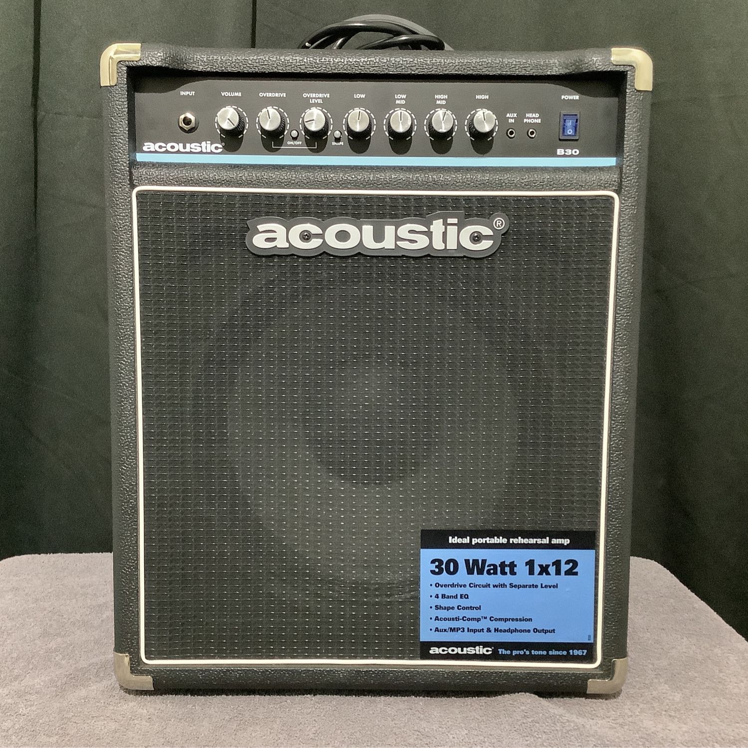 Acoustic B30 Bass Amp