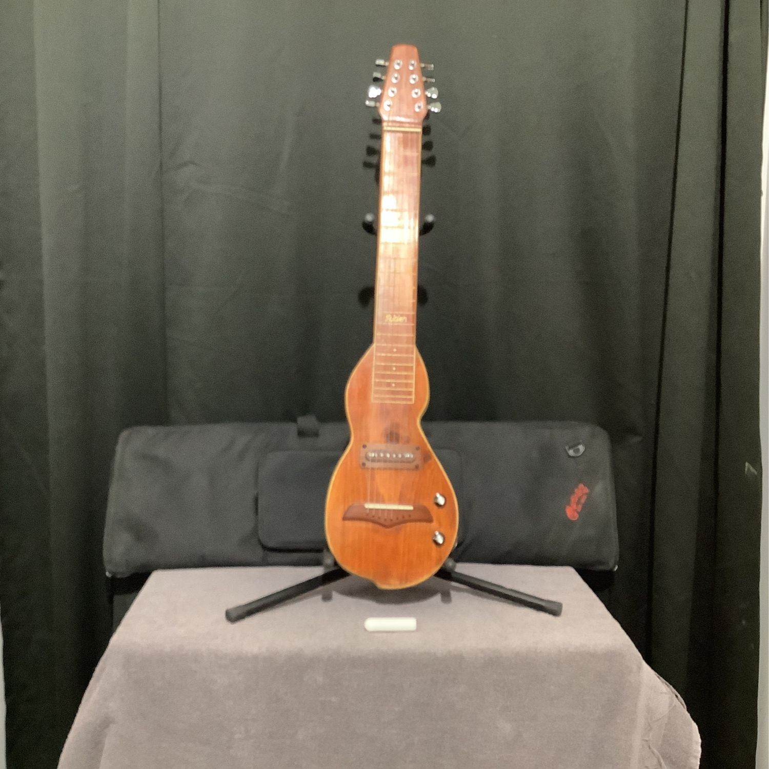 Alden 8-String Barnwood Lap Steel w/Bag & Slide