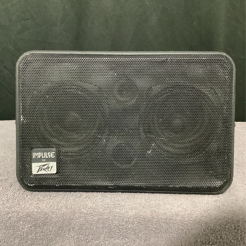 Peavey Impulse II Monitor