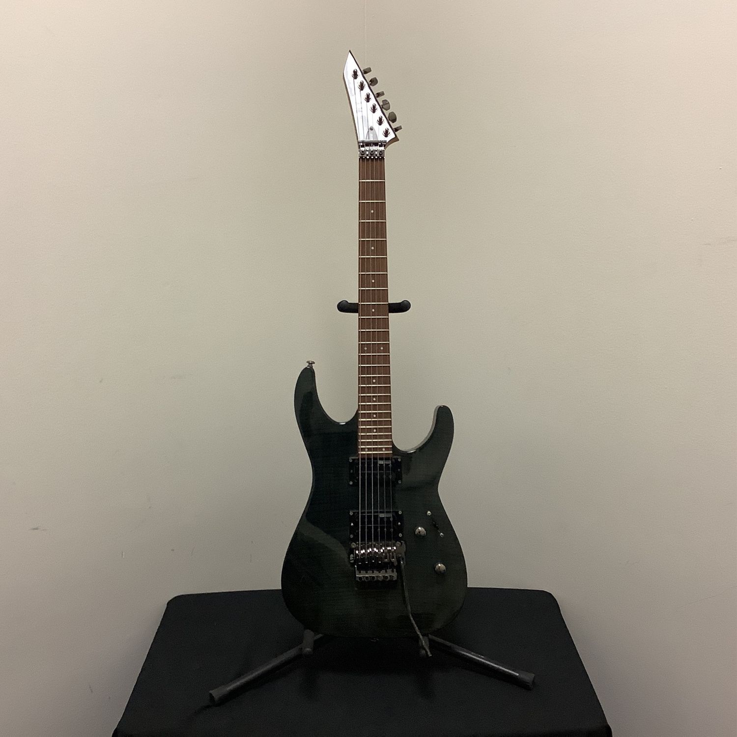 ESP LTD M-100FM Electric Guitar