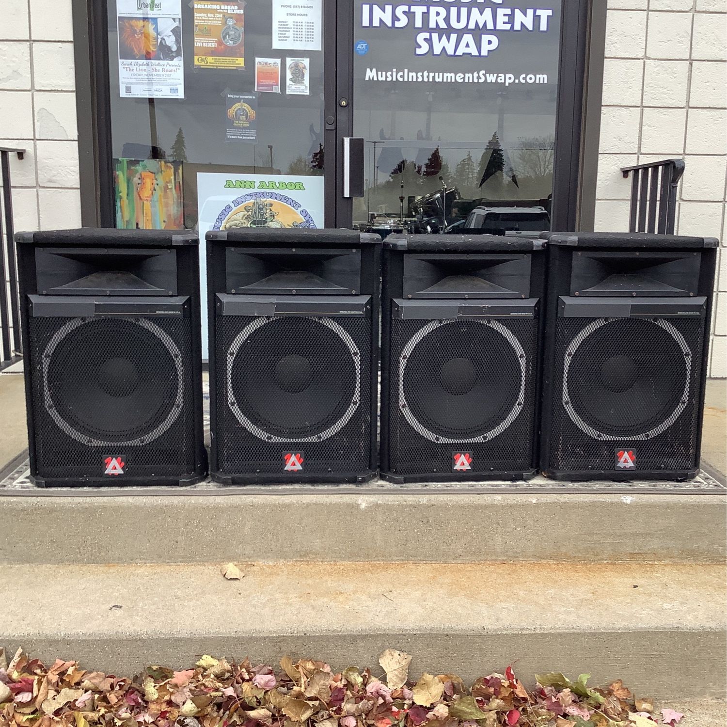 Peavey SP5G Passive Speakers (4)