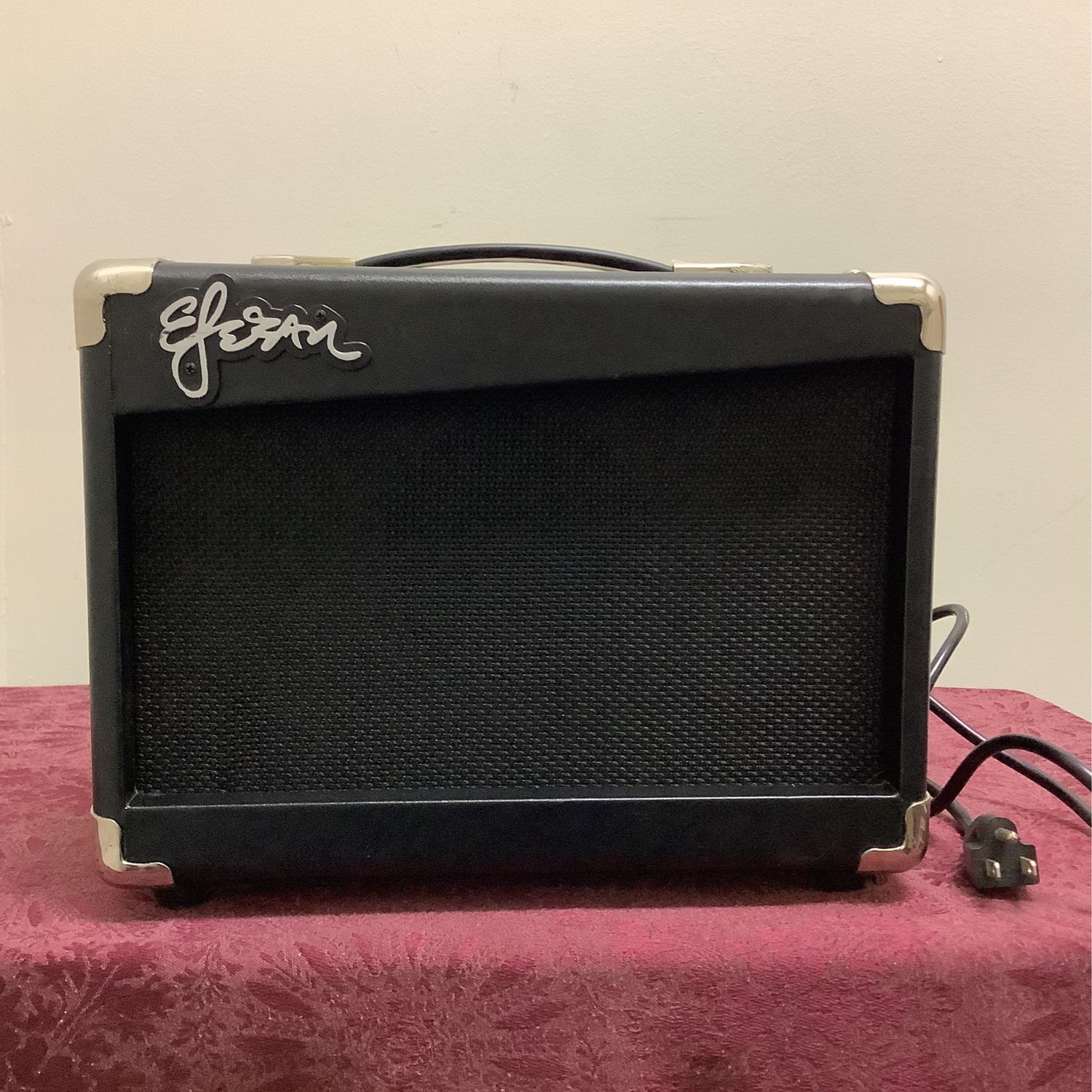 Esteban G-10 Guitar Amp