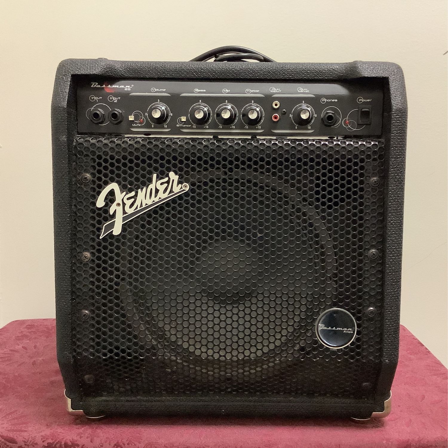 Fender Bassman 25 Bass Amp