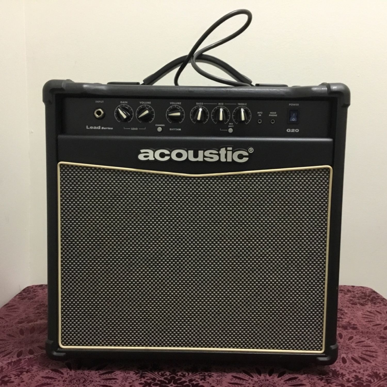 Acoustic G20 Guitar Amp
