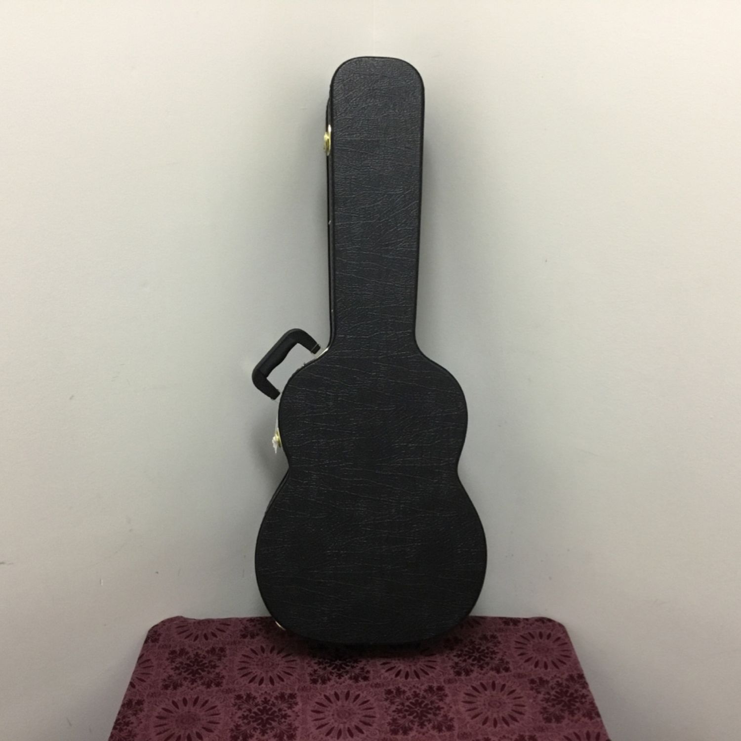 Acoustic Guitar Hardshell Case