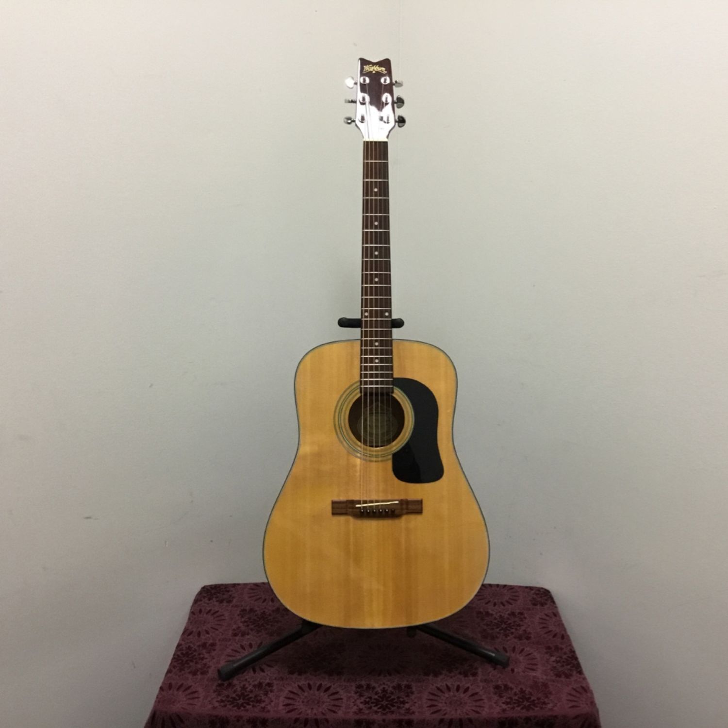 Washburn D10 Acoustic Guitar
