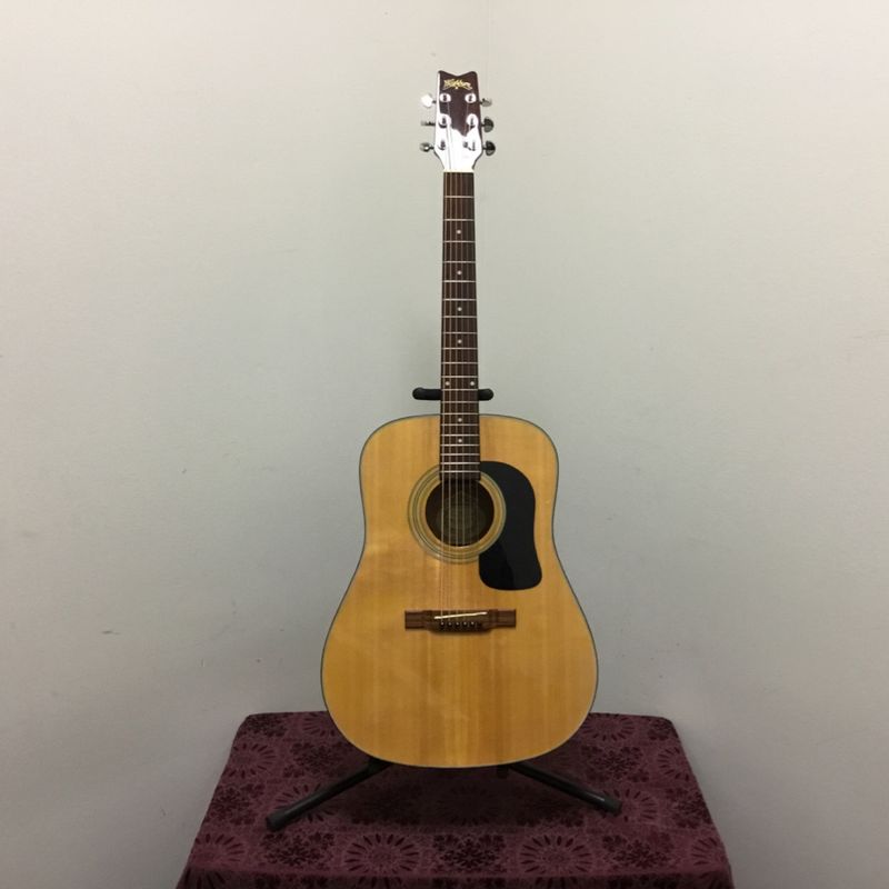 Washburn D10 Acoustic Guitar