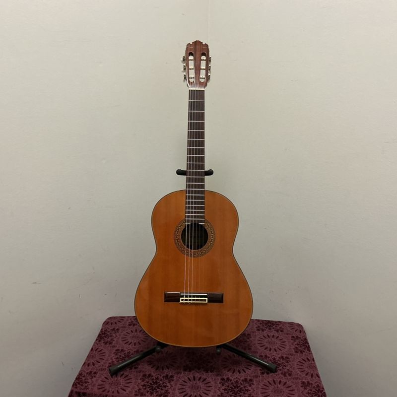 Starfield Model 395 Acoustic Guitar