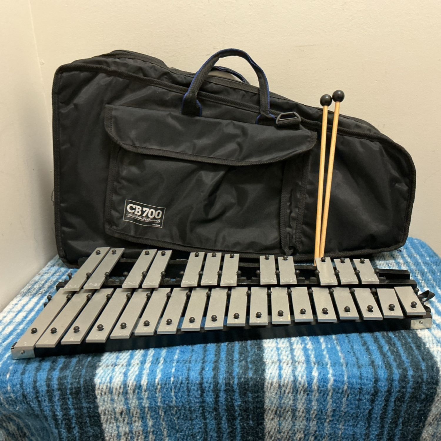 CB700 Xylophone Educational Percussion 30 Key Glockenspiel w/Bag & Mallets