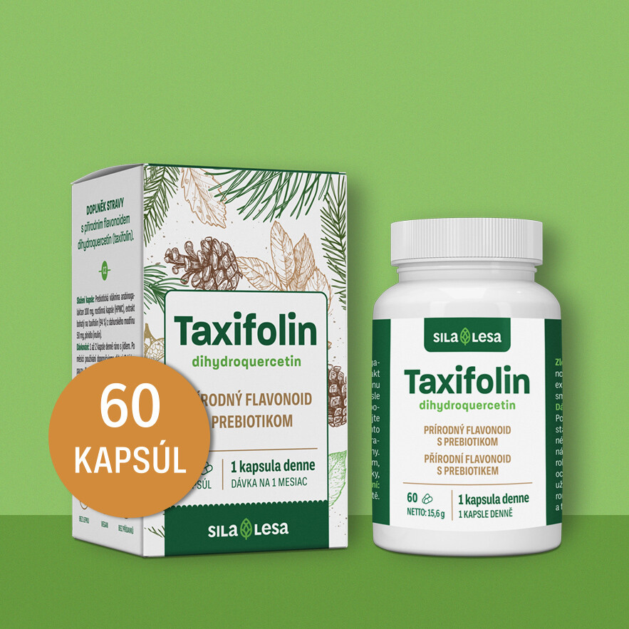 Taxifolin – dihydroquercetin