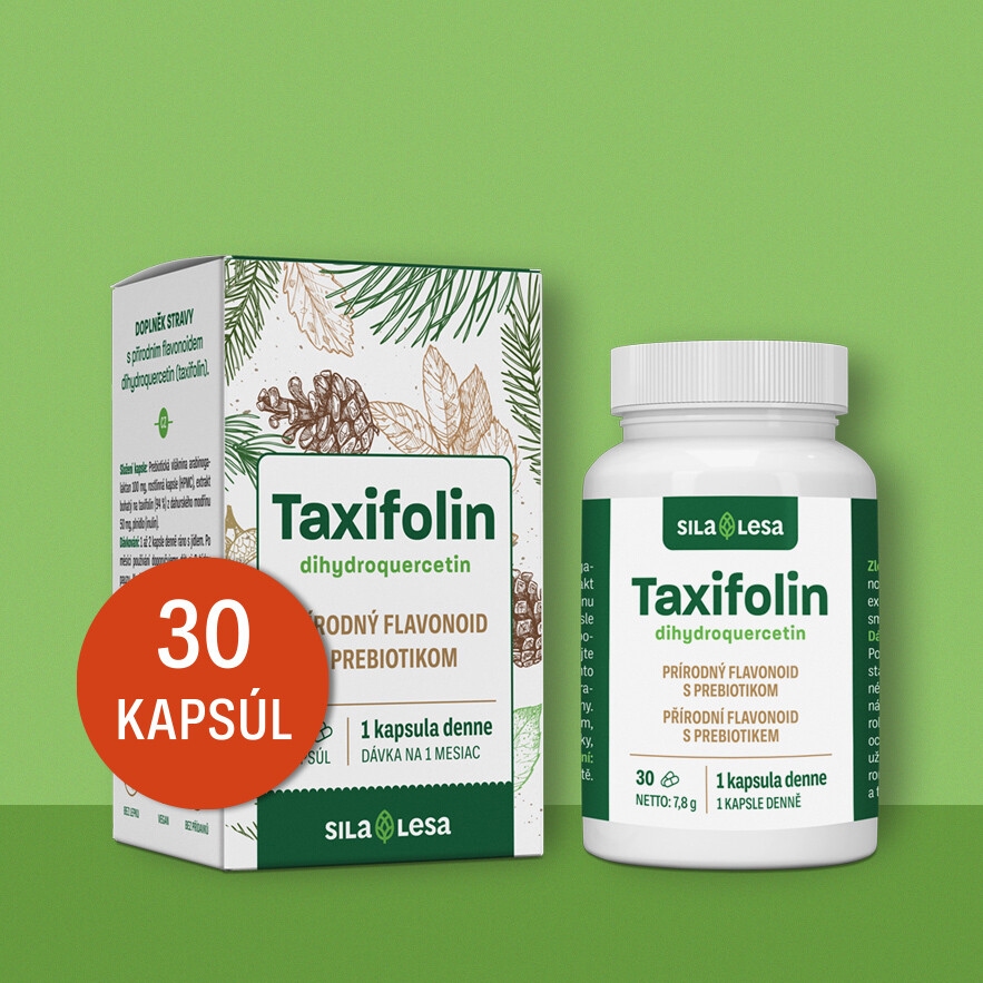 Taxifolin – dihydroquercetin