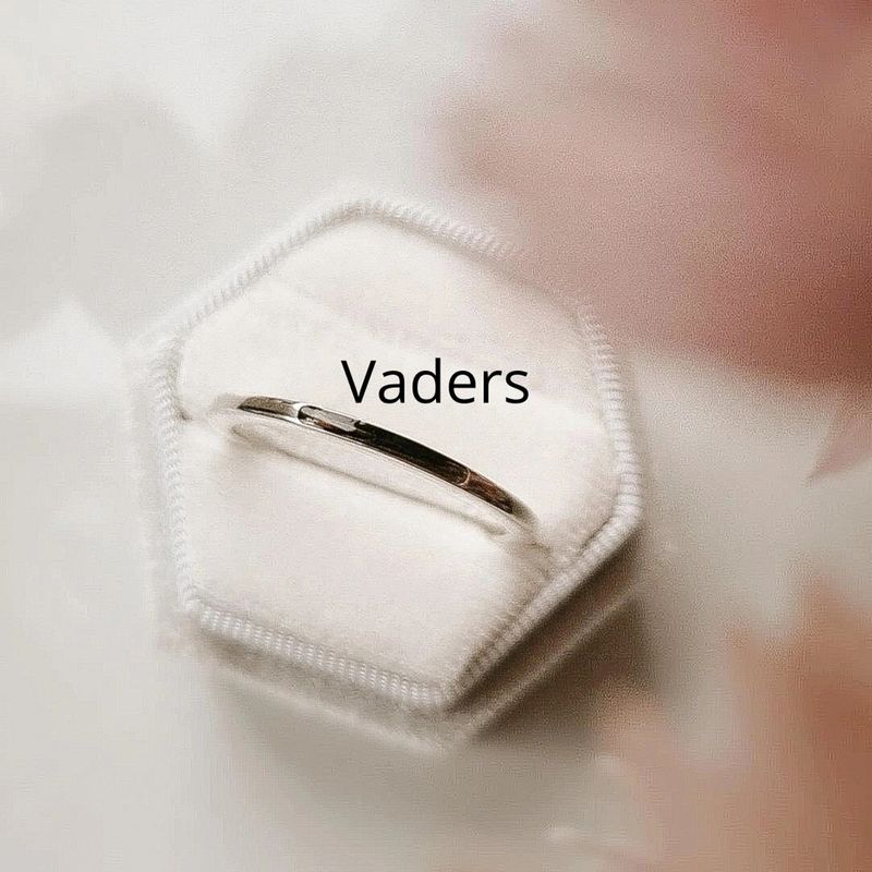 Zilveren papa ring
