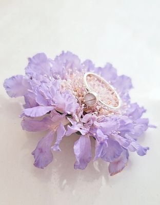 Nieuwe items