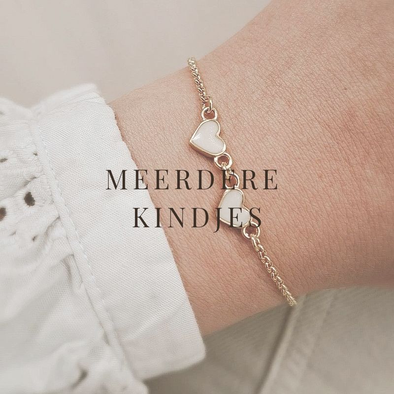 Uitbreidingsarmband zilver/24k verguld goud