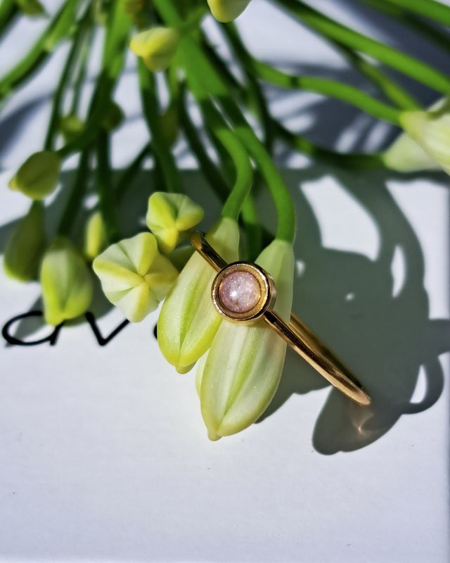 Stainless steel ring goud/zilver 