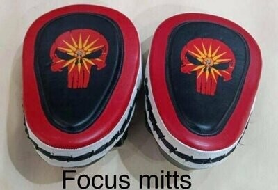 Focus Mitts