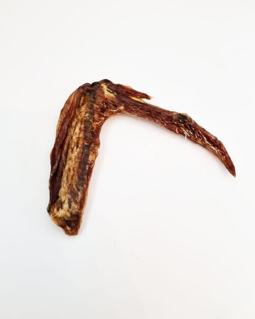 Duck Wings