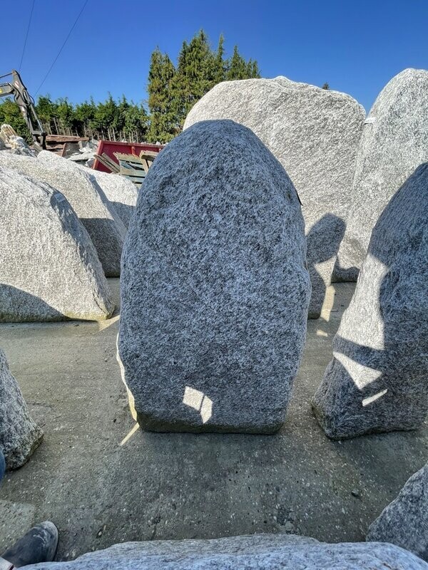 Silber-Gneis-Felsen, getrommelt Silber-Gneis-Felsen, getrommelt