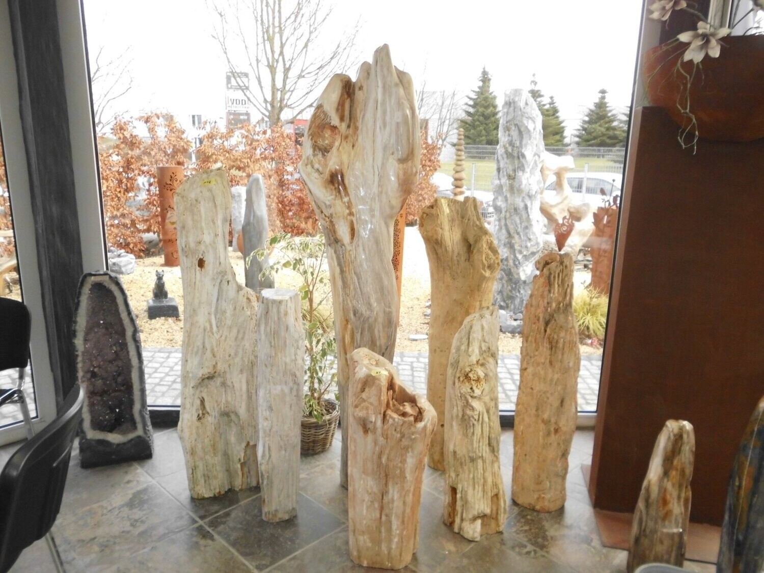 Versteinertes Holz, naturbelassen