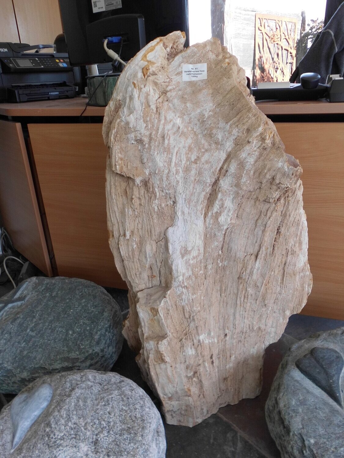 Versteinertes Holz, naturbelassen