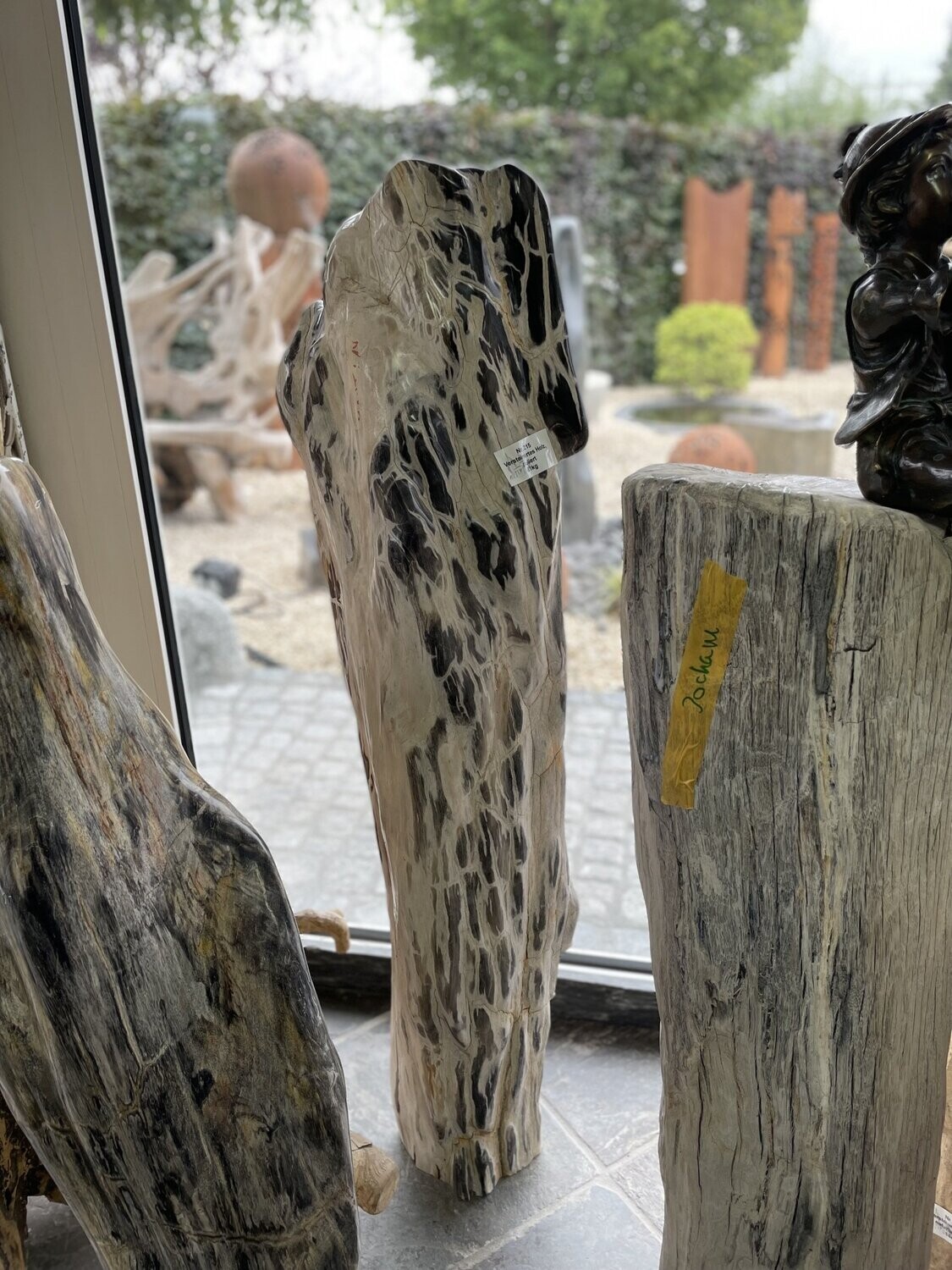 Versteinertes Holz, poliert