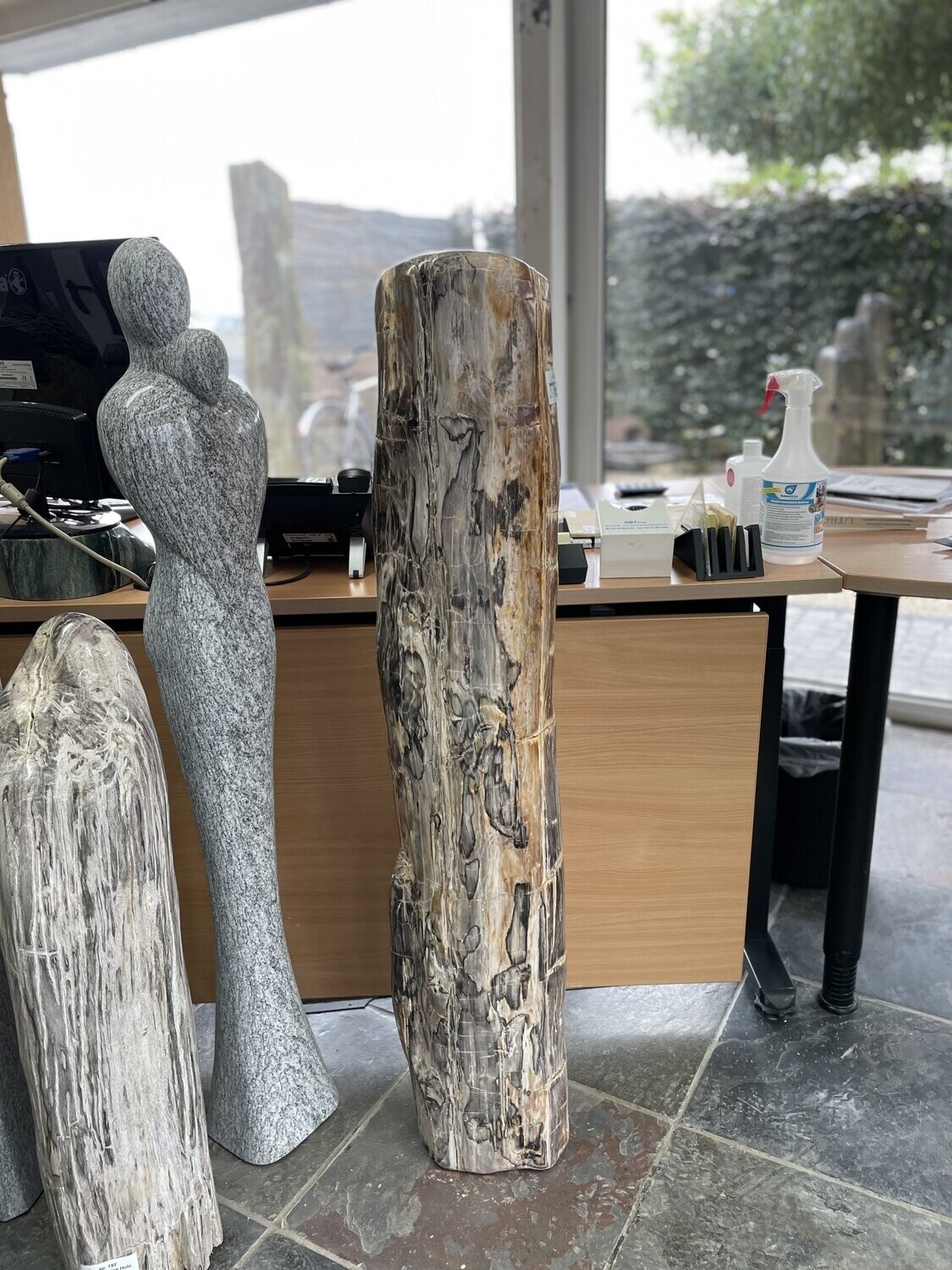 Versteinertes Holz, poliert