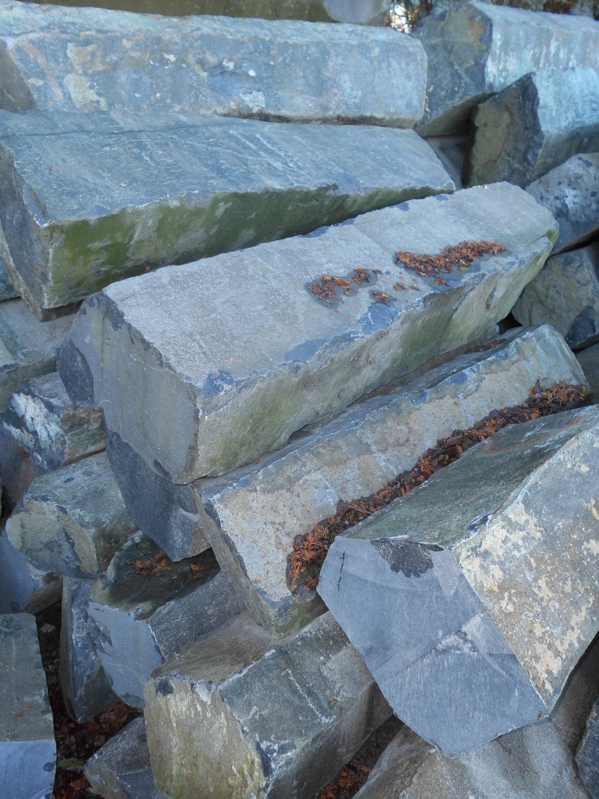 Basaltsäulen iranisch-grün