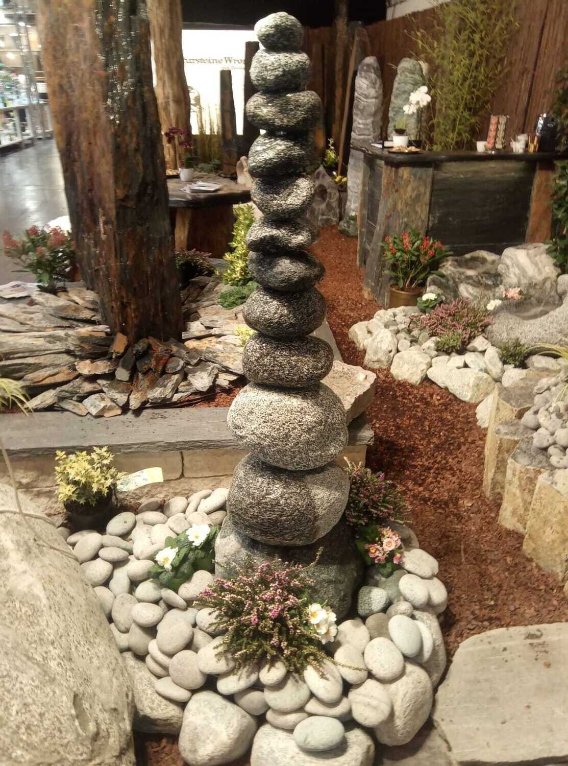Gneis-Steineiche, gebohrt