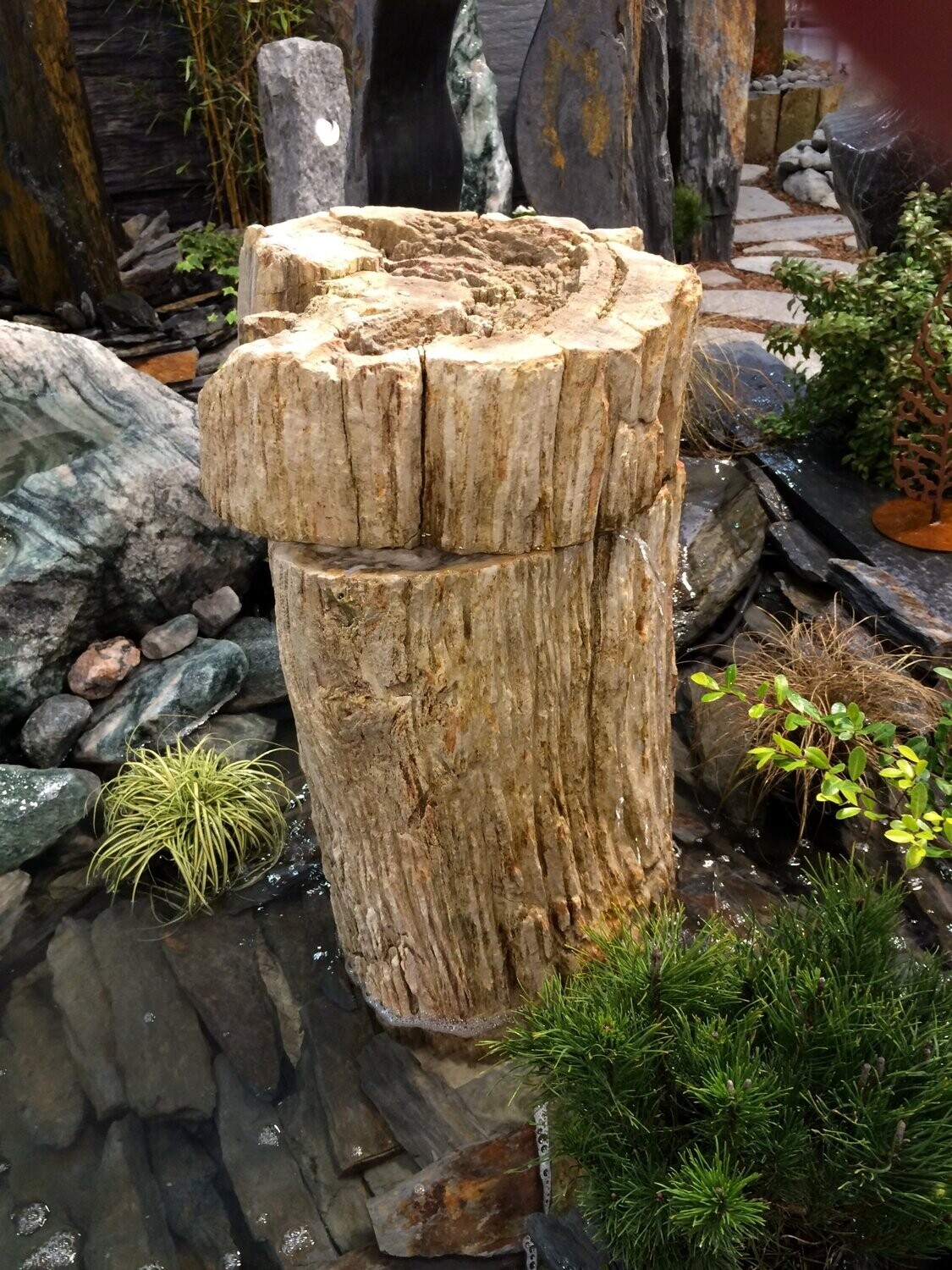 Versteinertes Holz, naturbelassen, gebohrt mit "Wackelkopf"