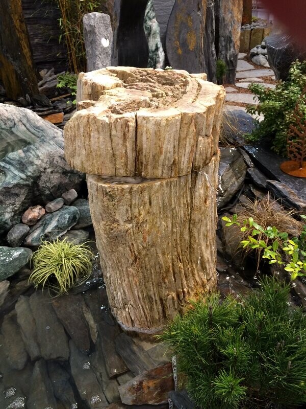 Versteinertes Holz, naturbelassen, gebohrt mit Versteinertes Holz, naturbelassen, gebohrt mit "Wackelkopf"