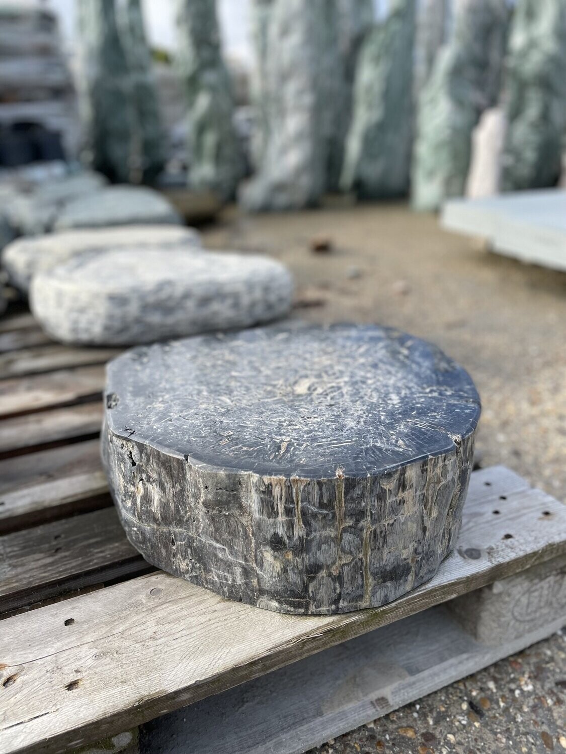 Versteinertes Holz Liegekissen, Oberfläche poliert
