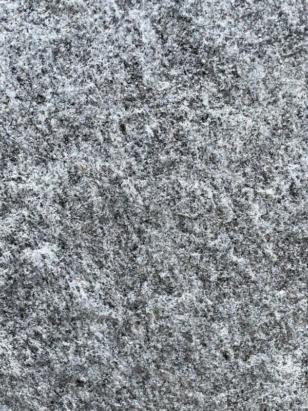 Silber-Gneis