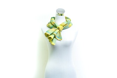 Organza Silk-Cotton Handloom Scarf - Weft Multicolour