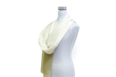 Organza Silk-Cotton with Zari - Zircon / Off White