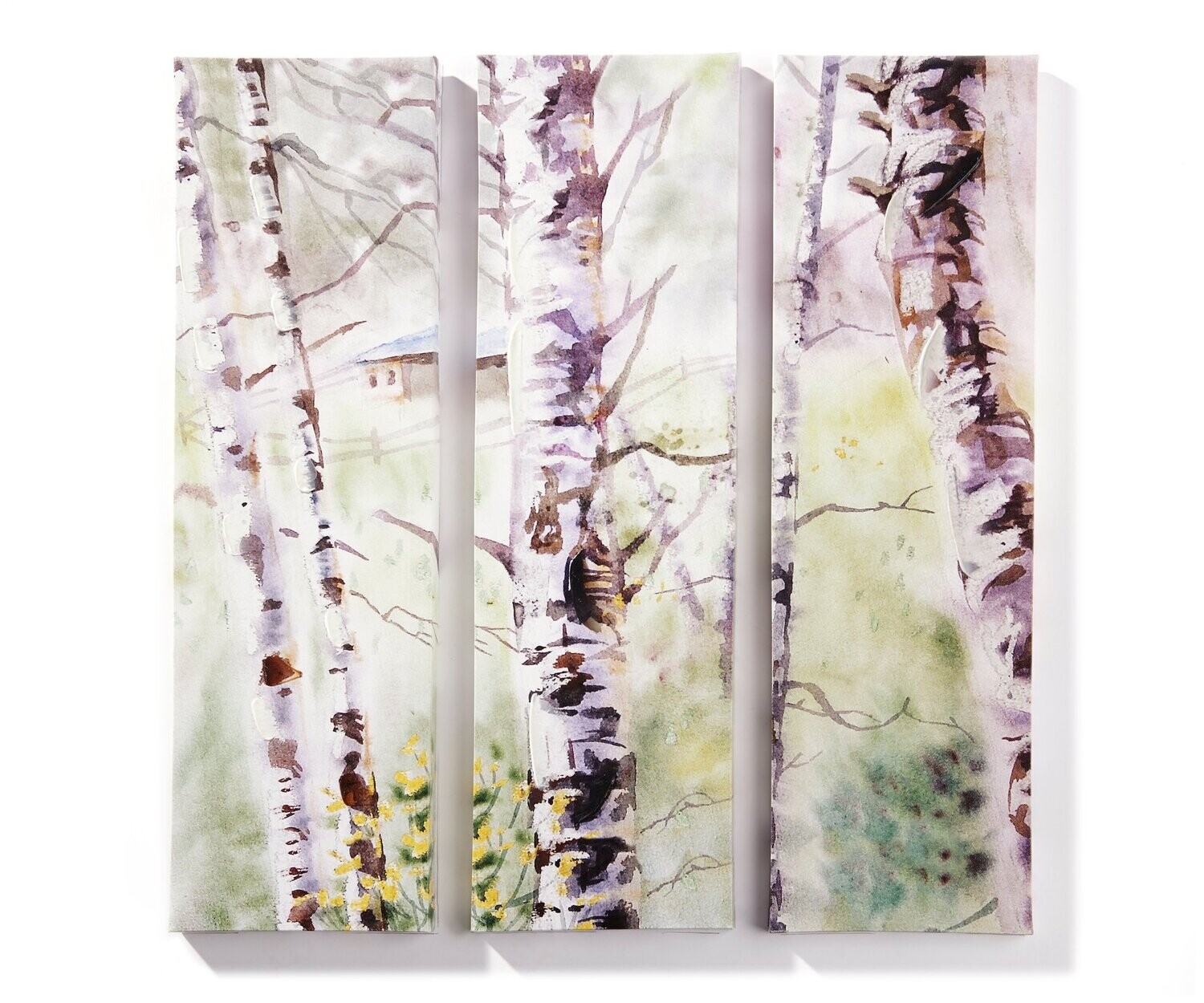 Canvas Prints, Birch Trees