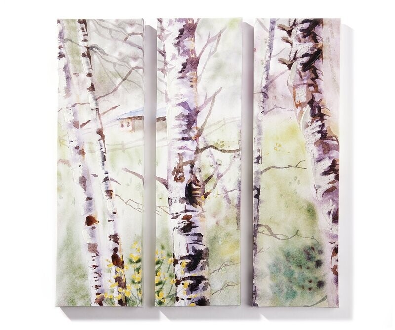 Canvas Prints, Birch Trees