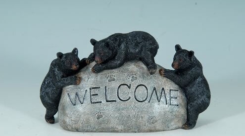 Black Bears on Welcome rock