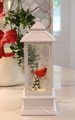 Snow Globe Lanterns