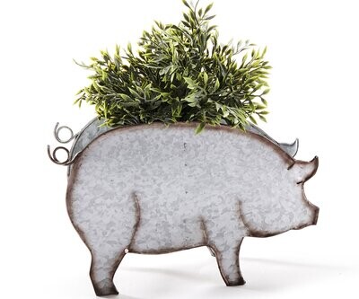 Pigs