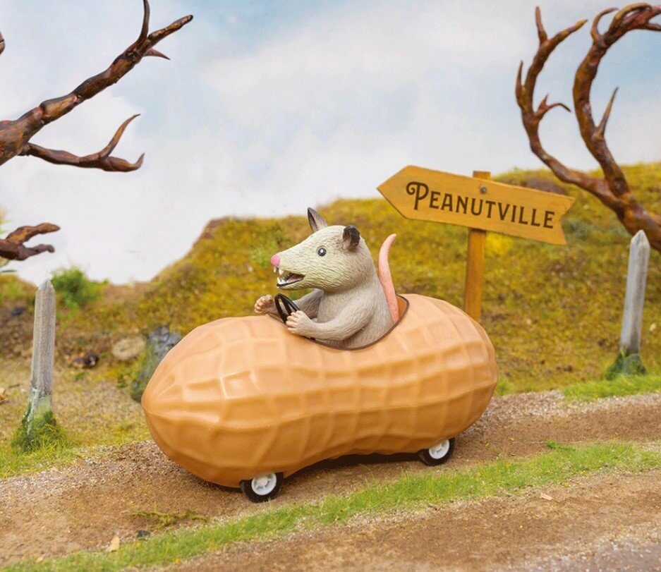 Possum in a Peanut