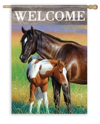 Mare and Foal Horses Welcome Large Flag Dura Soft™