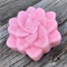 Succulent Sugar Scrub