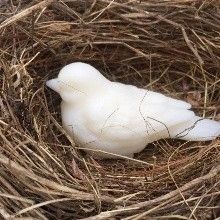 Sweet Birdy Guest Soap